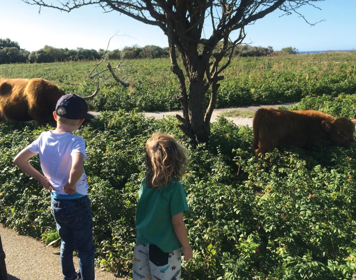 Kinderen spelen buiten bij Het Schuitengat