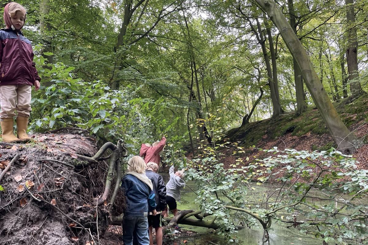 Een kind staat hoog op de wortelkluit van een omgevallen boom, terwijl een groepje kinderen aan de waterkant van een bosvijver speelt